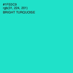 #1FE0C9 - Bright Turquoise Color Image
