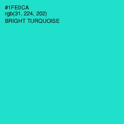 #1FE0CA - Bright Turquoise Color Image
