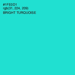 #1FE0D1 - Bright Turquoise Color Image