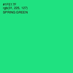 #1FE17F - Spring Green Color Image