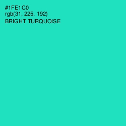 #1FE1C0 - Bright Turquoise Color Image