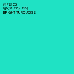 #1FE1C3 - Bright Turquoise Color Image