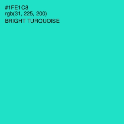 #1FE1C8 - Bright Turquoise Color Image