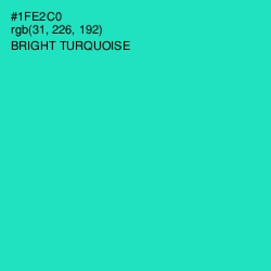 #1FE2C0 - Bright Turquoise Color Image