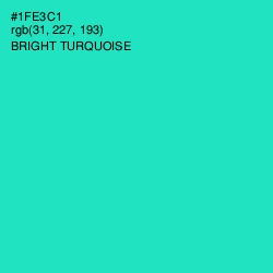 #1FE3C1 - Bright Turquoise Color Image