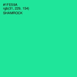 #1FE59A - Shamrock Color Image