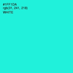 #1FF1DA - Bright Turquoise Color Image