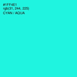 #1FF4E1 - Cyan / Aqua Color Image