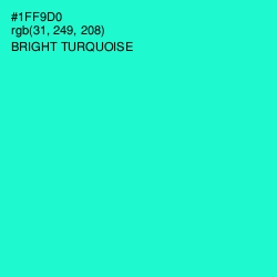 #1FF9D0 - Bright Turquoise Color Image