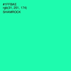 #1FFBAE - Shamrock Color Image