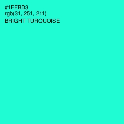 #1FFBD3 - Bright Turquoise Color Image