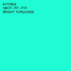 #1FFBD4 - Bright Turquoise Color Image