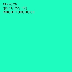 #1FFCC0 - Bright Turquoise Color Image