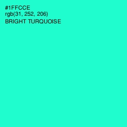 #1FFCCE - Bright Turquoise Color Image