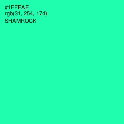 #1FFEAE - Shamrock Color Image