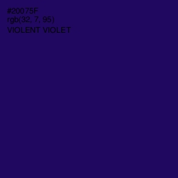 #20075F - Violent Violet Color Image