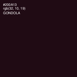 #200A13 - Gondola Color Image