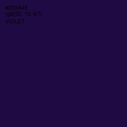 #200A43 - Violet Color Image