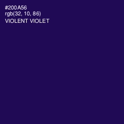 #200A56 - Violent Violet Color Image