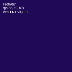 #200A57 - Violent Violet Color Image