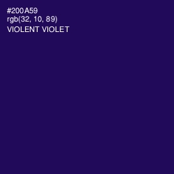 #200A59 - Violent Violet Color Image