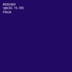 #200A63 - Paua Color Image