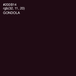 #200B14 - Gondola Color Image