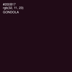 #200B17 - Gondola Color Image