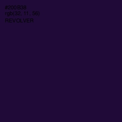 #200B38 - Revolver Color Image