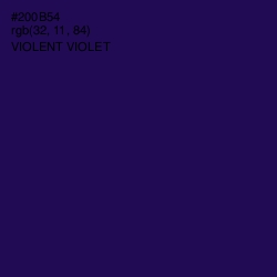 #200B54 - Violent Violet Color Image