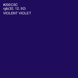 #200C5C - Violent Violet Color Image