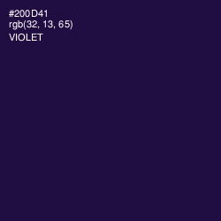 #200D41 - Violet Color Image