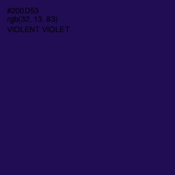 #200D53 - Violent Violet Color Image