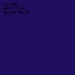 #200D5E - Violent Violet Color Image