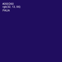 #200D60 - Paua Color Image