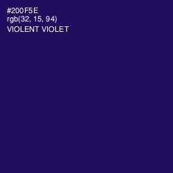 #200F5E - Violent Violet Color Image