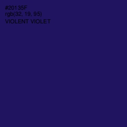 #20135F - Violent Violet Color Image