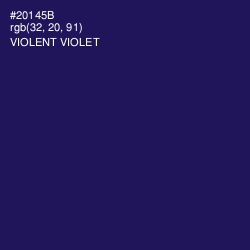 #20145B - Violent Violet Color Image