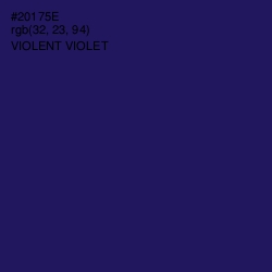 #20175E - Violent Violet Color Image