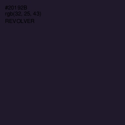 #20192B - Revolver Color Image