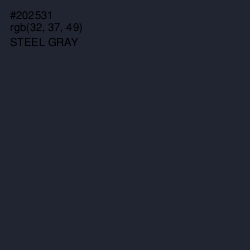 #202531 - Steel Gray Color Image