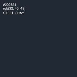 #202831 - Steel Gray Color Image