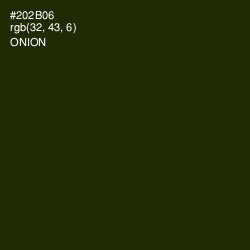 #202B06 - Onion Color Image