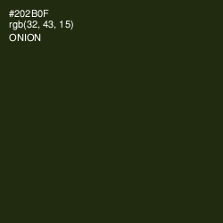 #202B0F - Onion Color Image