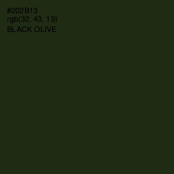 #202B13 - Black Olive Color Image