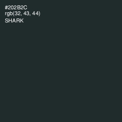 #202B2C - Shark Color Image