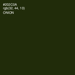 #202C0A - Onion Color Image