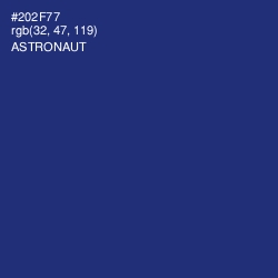 #202F77 - Astronaut Color Image