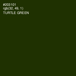 #203101 - Turtle Green Color Image