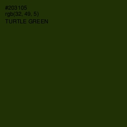 #203105 - Turtle Green Color Image